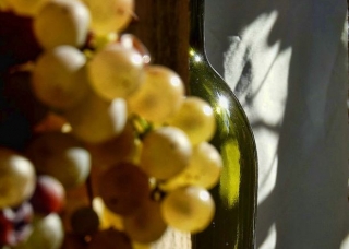 botella junto a un racimo de uva